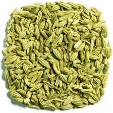 Fennel (মৌরি)